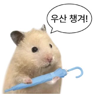 Telegram sticker 👍 @KakaoEmoji 엉뚱이 햄스터