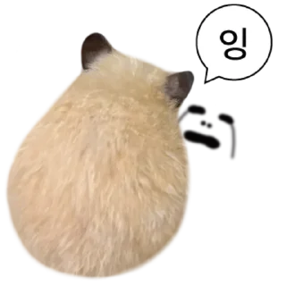 Telegram sticker 👍 @KakaoEmoji 엉뚱이 햄스터