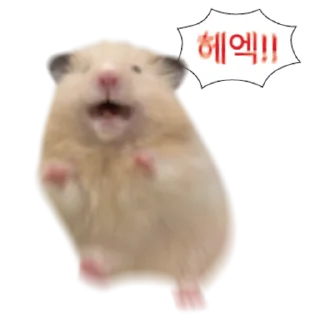 Telegram sticker 👍 @KakaoEmoji 엉뚱이 햄스터