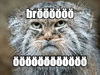 Telegram sticker 🐱 Бро и т.д. :: @fStikBot