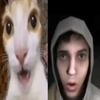 Telegram sticker 😎 сема хенрикссон