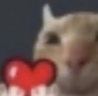 Video sticker 💖 Aprilngwewinaaaaa