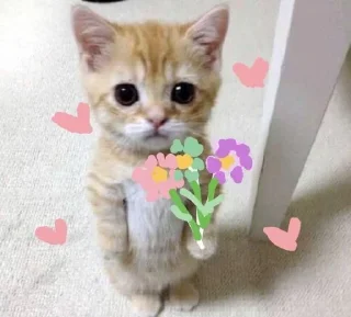 Video sticker ❤️ Aprilngwewinaaaaa