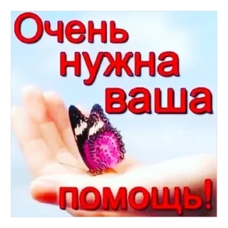 Video sticker 🫥 саньчоус тг-канал @ushury