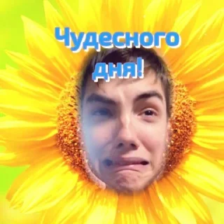 Video sticker 😄 Пикчи