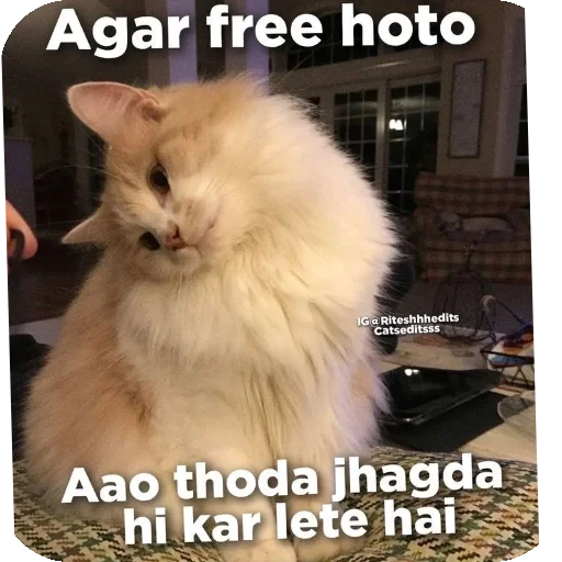 Telegram sticker 👍 𝘉𝘦𝘭𝘭𝘢 /> 🥀 ( @untoldstories_0 )