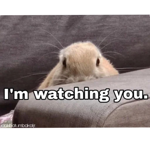 Telegram sticker 👍 𝘉𝘦𝘭𝘭𝘢 /> 🥀 ( @untoldstories_0 )