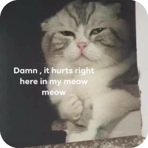 Telegram sticker 👍 𝘉𝘦𝘭𝘭𝘢 /> 🥀 ( @untoldstories_0 )