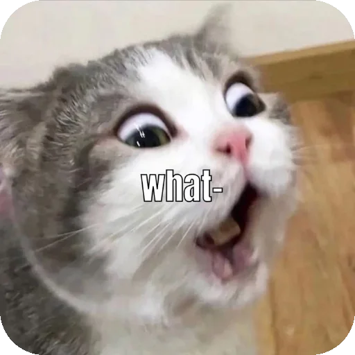 Telegram sticker 👍 𝘉𝘦𝘭𝘭𝘢 /> 🥀 ( @untoldstories_0 )