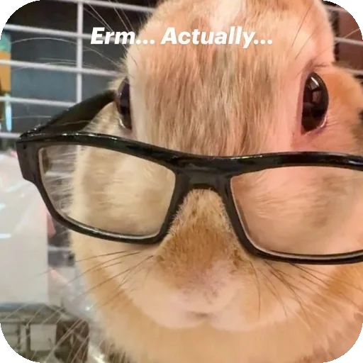 Telegram sticker 👍 𝘉𝘦𝘭𝘭𝘢 /> 🥀 ( @untoldstories_0 )