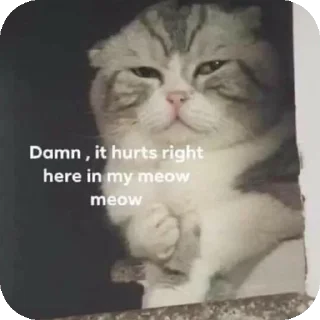 Video sticker 👍 𝘉𝘦𝘭𝘭𝘢 /> 🥀 ( @untoldstories_0 )