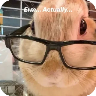 Video sticker 👍 𝘉𝘦𝘭𝘭𝘢 /> 🥀 ( @untoldstories_0 )