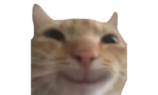 Telegram sticker 😊 ржомбик сквад 1.0 @rzhombiks