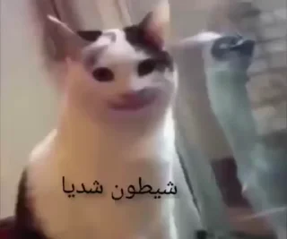 Telegram stiker 🙂 @AniPackBot | استیکرساز😍