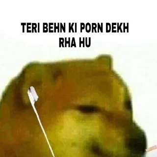 Telegram sticker 🌚 🔹CHEEM DOGE | @DHONI_OO7 :: @fStikBot