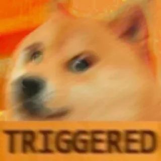 Telegram sticker 😡 🔹CHEEM DOGE | @DHONI_OO7 :: @fStikBot