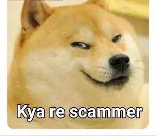 Telegram sticker 🤔 🔹CHEEM DOGE | @DHONI_OO7 :: @fStikBot