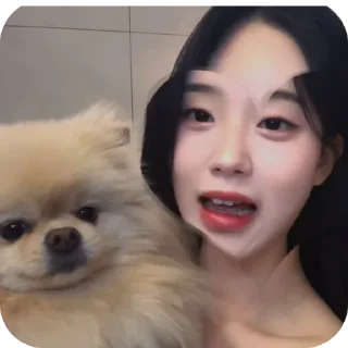 Sticker 🐶 Torytory