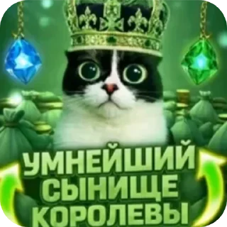 Telegram sticker 🐱 memasike