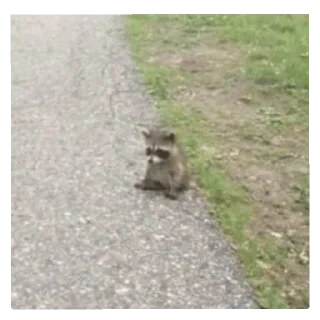 Telegram sticker 🙃 Yah yah yah 2 @OurCrazyChanel