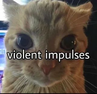 Video sticker 😾 втхряхуесос :: @fStikBot