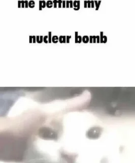 Video sticker 😸 втхряхуесос :: @fStikBot