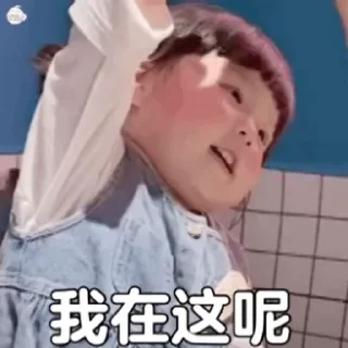 Video sticker 😁 老友会管理员👉   @szxglyhys