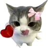 Video sticker 🤩 𝐰𝐢𝐚𓍯�...