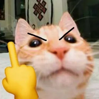 Telegram sticker 😡 cursed kittens  @satori_666
