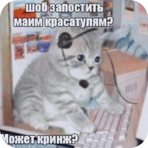 Sticker 🐱 ххиихихих