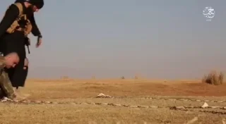 Video sticker 🌟 استغراب/Supra