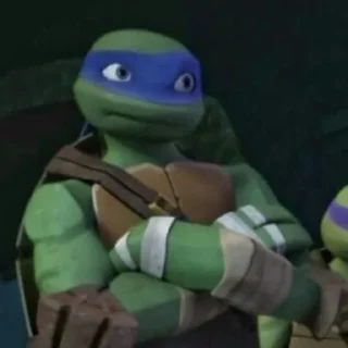 Телеграм стикер 🤨 Turtles2012
