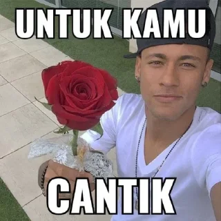 Sticker 😍 meme bg