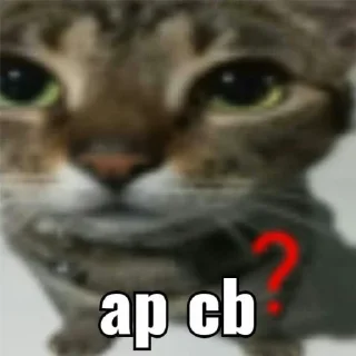 Video sticker 😁 meme bg