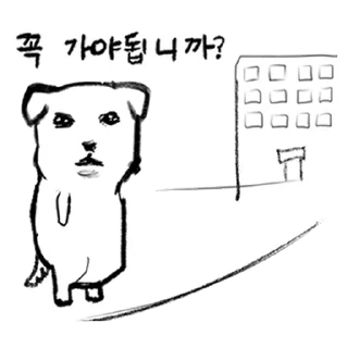 Video sticker ⭐ 듀.. 가나디 7 @manbull_sticker_bot