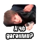 Video sticker ❓ Видео мемы