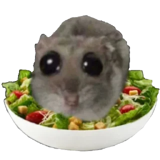 Телеграм стикер 🥗 Грустный хомяк • @TgSticker