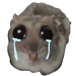 Телеграм стикер 😭 Грустный хомяк • @TgSticker