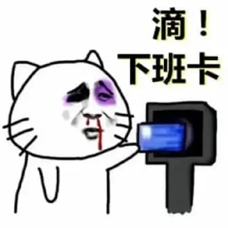 Video sticker 🧔 为人师表 @weirenshibiao