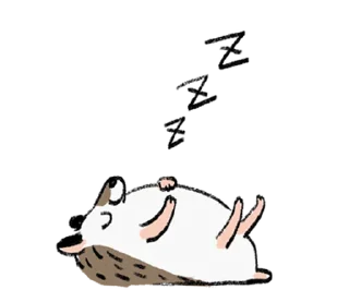 Telegram sticker 🦔 ёжик  ۪   ꒰  𝅄 @plusikradom !