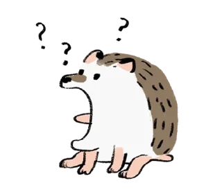 Video sticker 🦔 ёжик  ۪   ꒰  𝅄 @plusikradom !