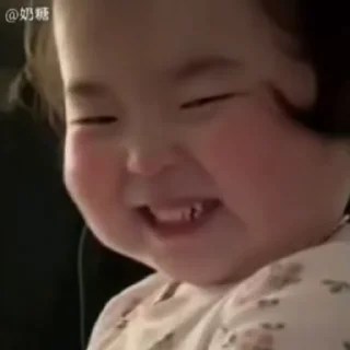 Video sticker 🐷 蛇皮宝贝2@Snake07 :: @fStikBot