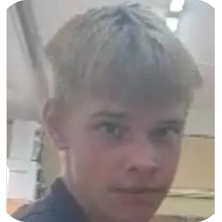 Video sticker 🫥 мишаня