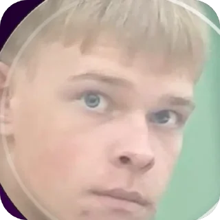 Telegram sticker 🫥 мишаня