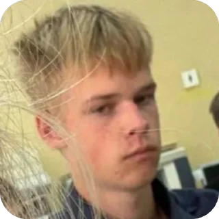 Telegram sticker 🫥 мишаня