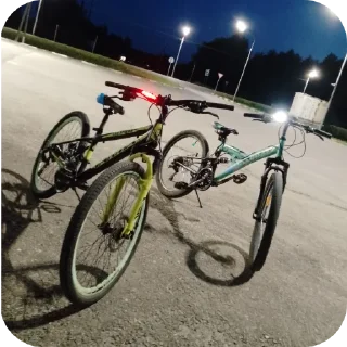 Telegram sticker 🚲 все наши