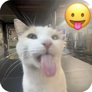 Telegram sticker 🐱 Блехи
