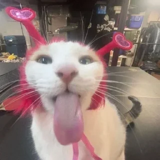 Telegram sticker 🌟 Блехи