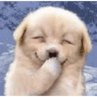 Telegram sticker 😁 차밍's