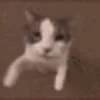 Video sticker 😙 مفضـلات ك�...